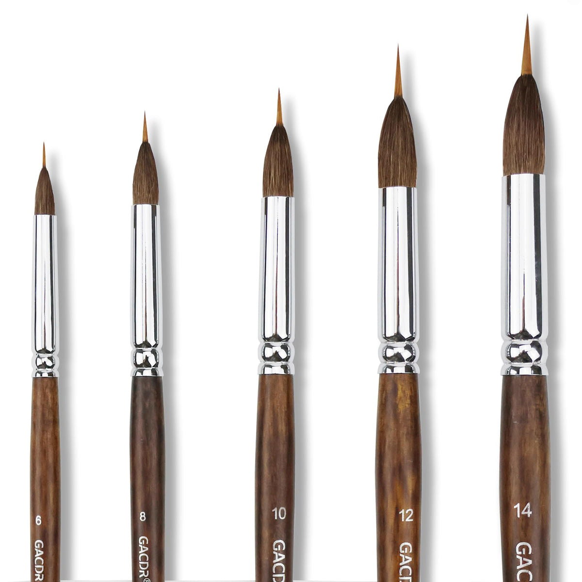 GACDR Watercolor Liner Brush Set, 5Pcs Extended Needle Point Brushes Set