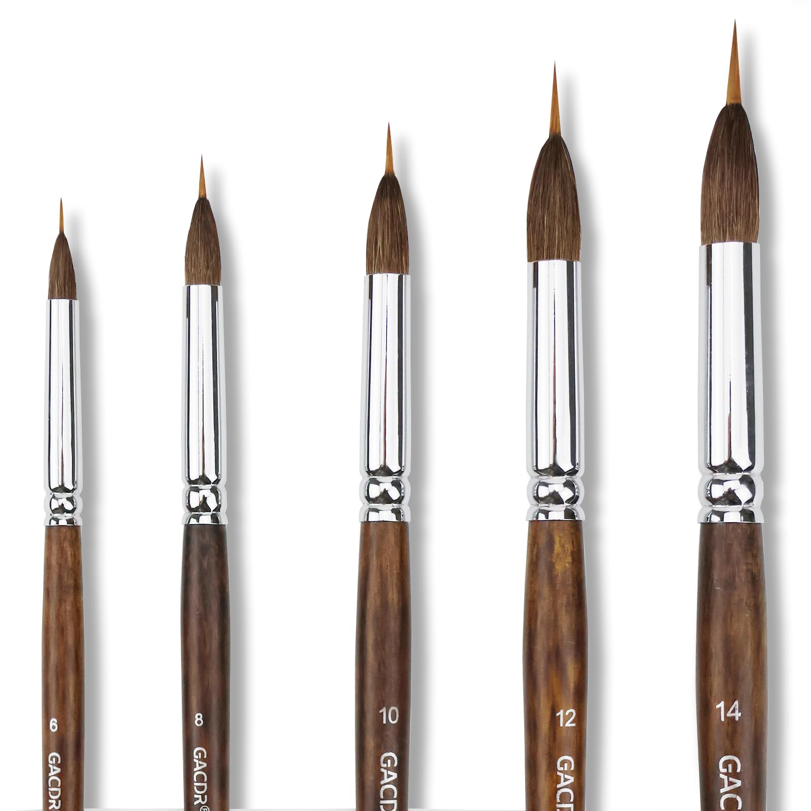 GACDR Watercolor Liner Brush Set, 5Pcs Extended Needle Point Brushes Set