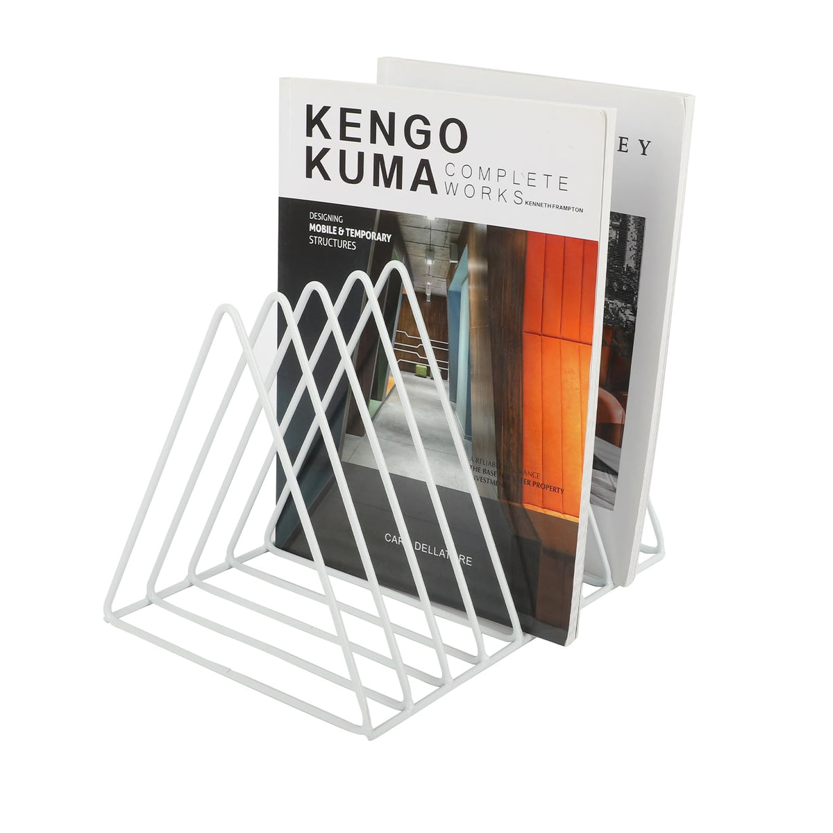 EASEPRES Vinyl Record Holder Storage, 9 Slot Metal Magazine Book Album Display Rack, Stylish