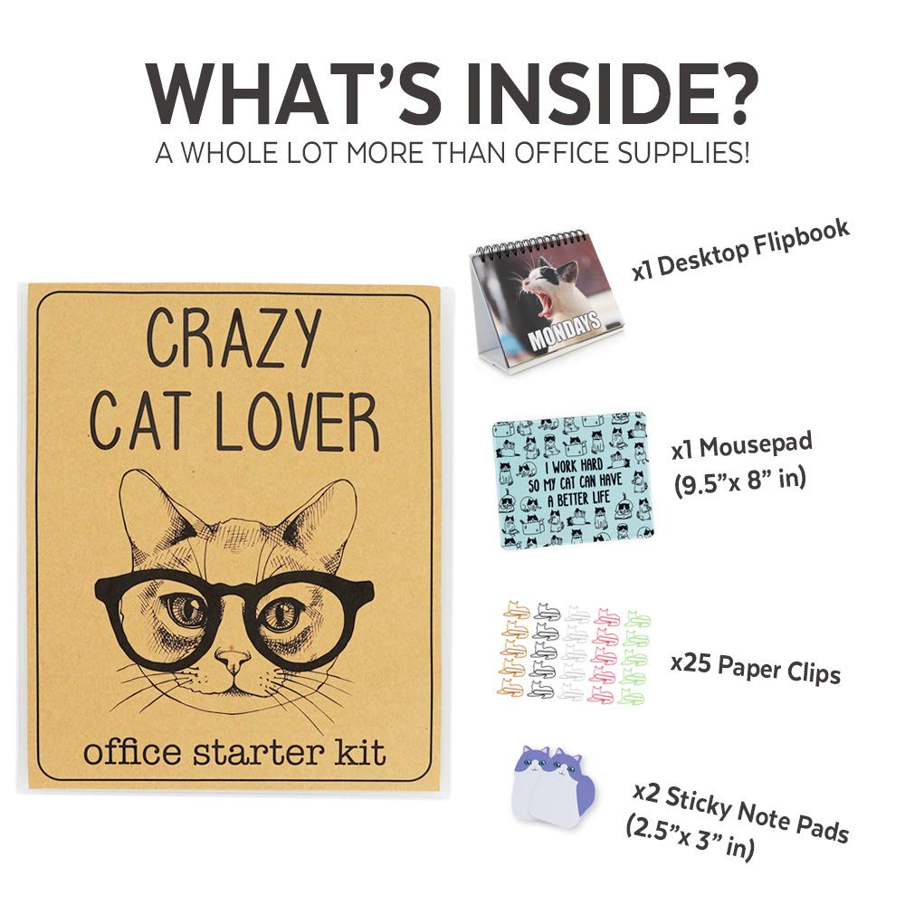 Office Gift for Cat Lovers | Cute Cat Office Supplies - Funny Cat Memes Desktop Flipbook, Cat Mouse