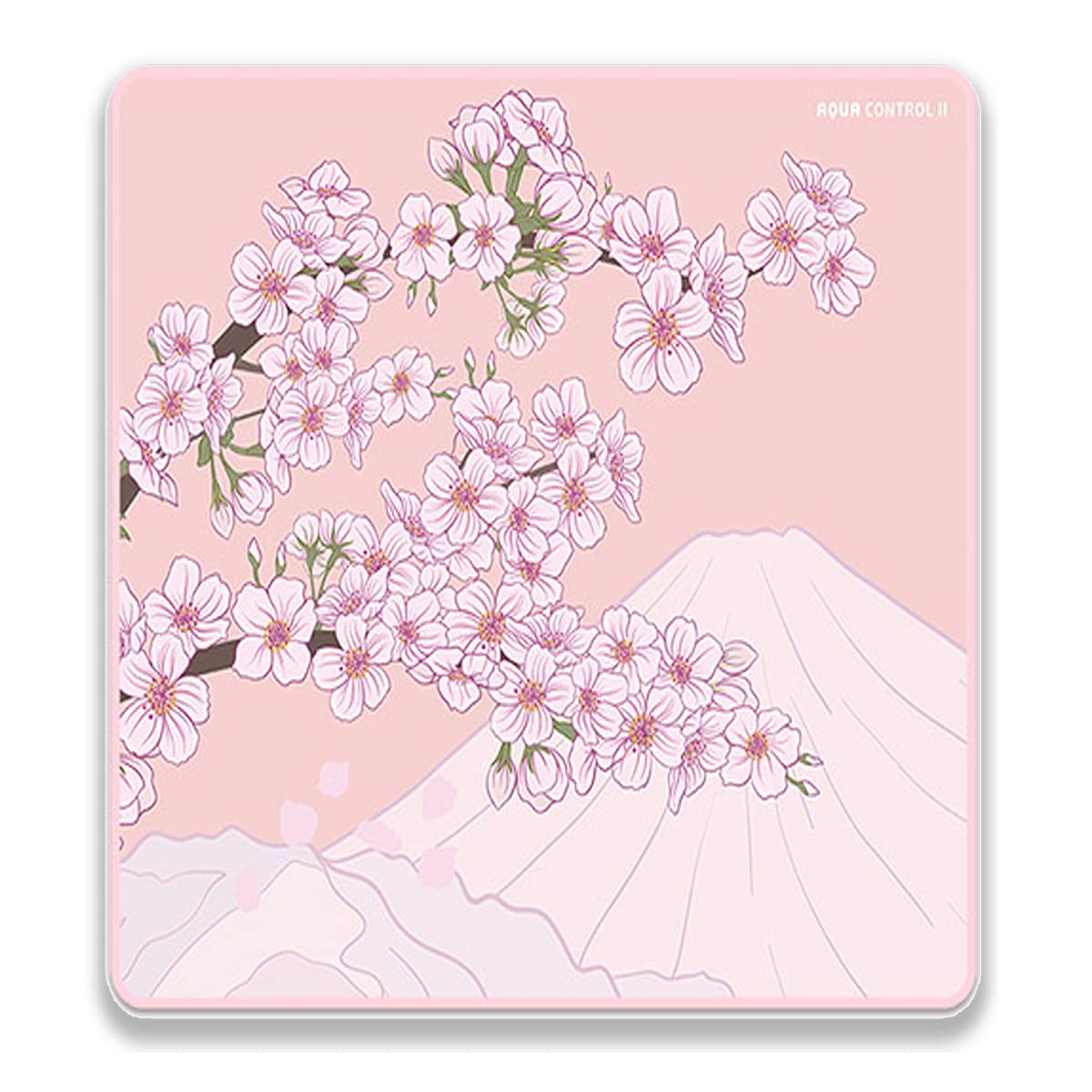 X-Raypad Aqua Control 2 Gaming Mouse Pad, Ultra-High Precision Mouse Pad with Perfect Speed and