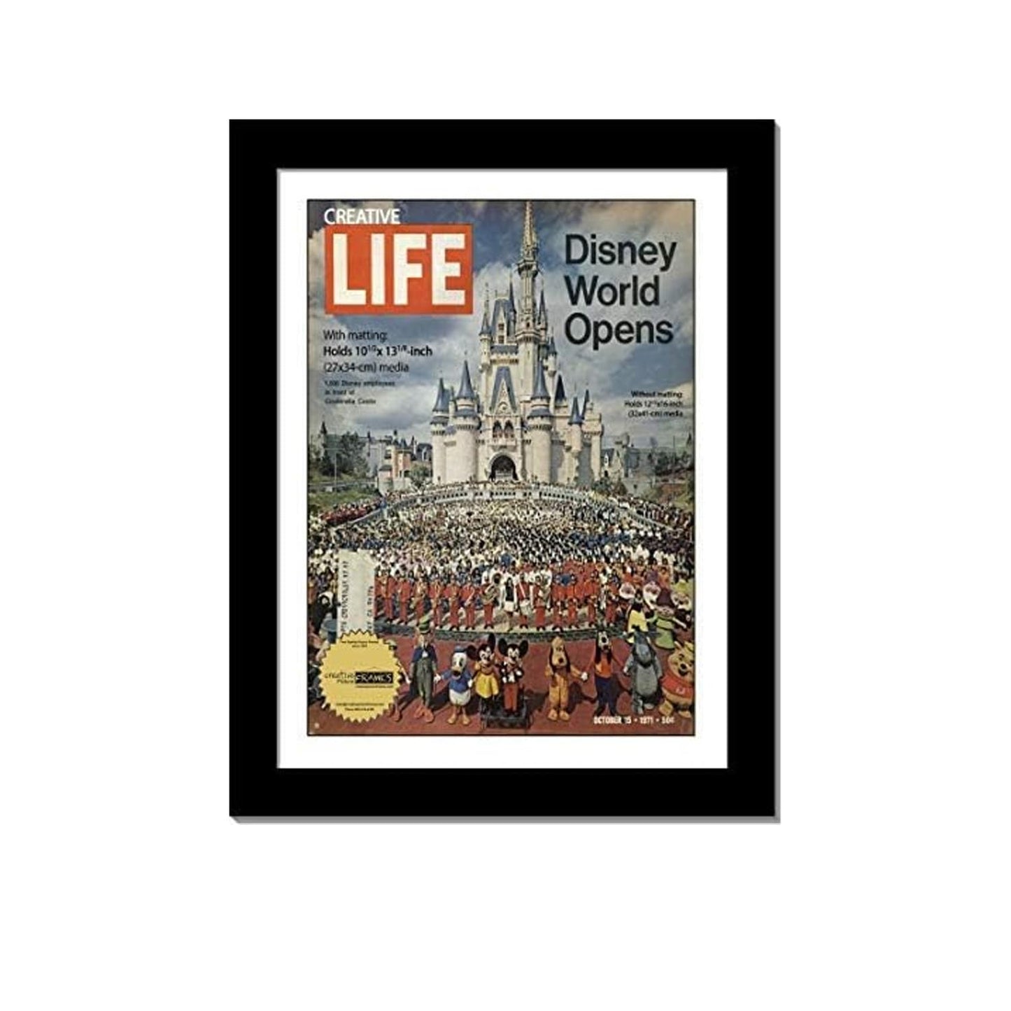Creative Picture Frames 10.5 x 13.12 Magazine Frame with Full-Strength Glass, Holds Up To A 1/4"