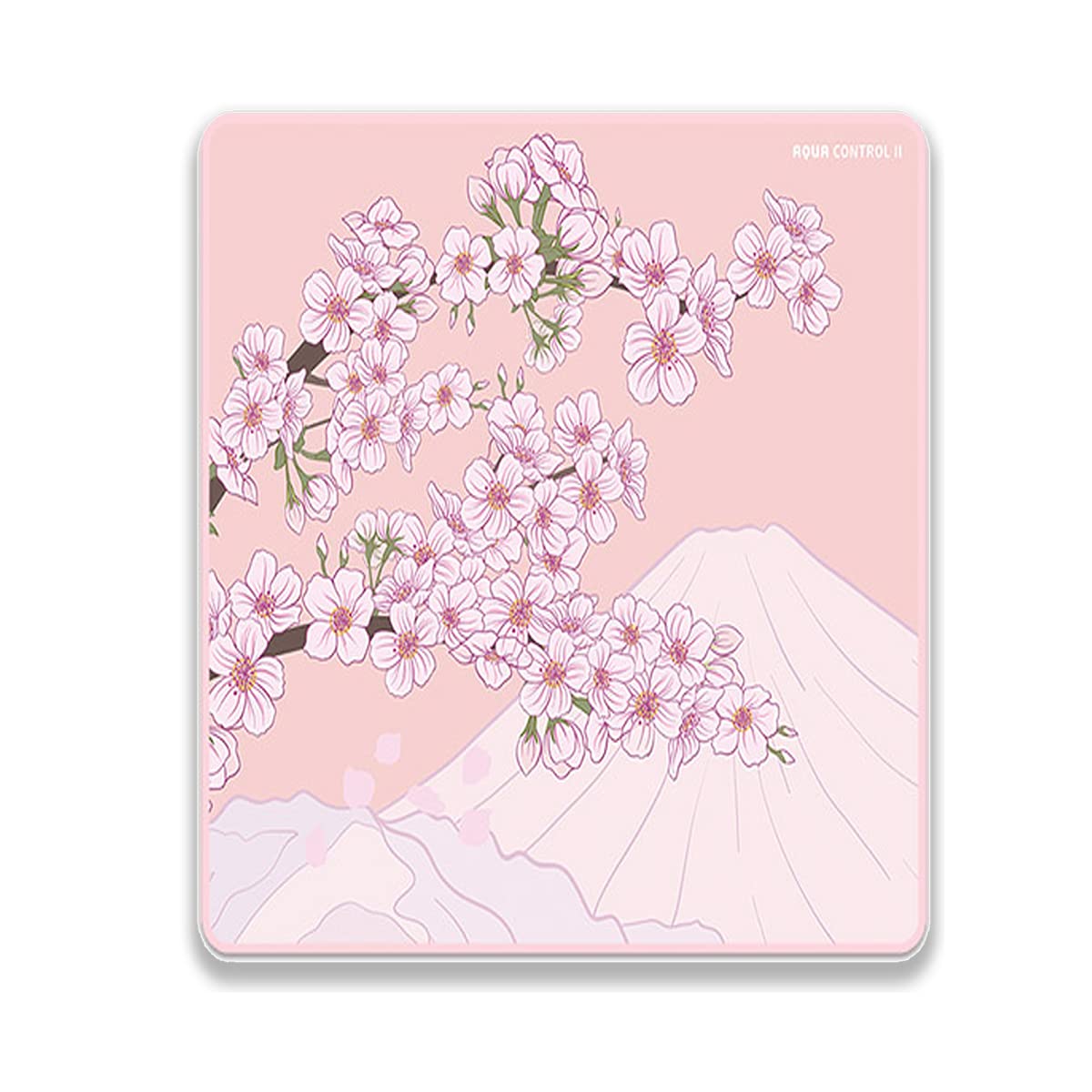 X-Raypad Aqua Control 2 Gaming Mouse Pad, Ultra-High Precision Mouse Pad with Perfect Speed and