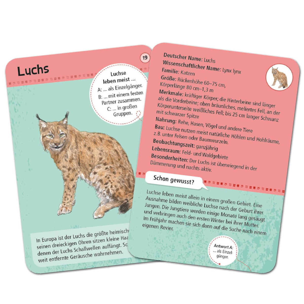 Moses 9739 Expedition Natur - 50 Local Forest and Wild Animals | Determination Cards in a Set |