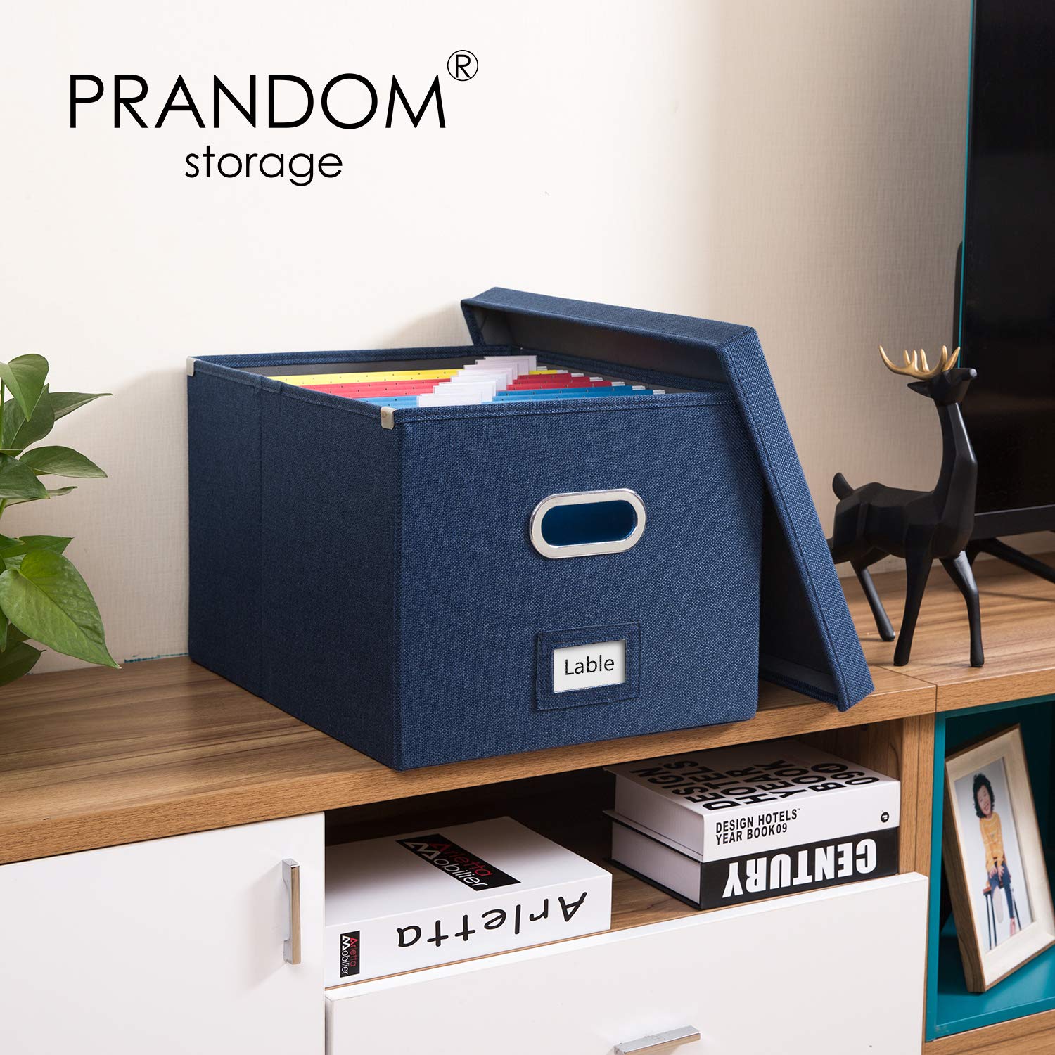 PRANDOM File Organizer Box - Set of 2 Collapsible Decorative Linen Filing Storage Hanging File