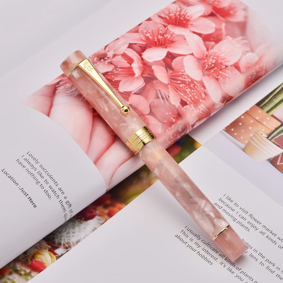 Jinhao Classic Fountain Pen Pink, Extra Fine Nib with Converter and Pen Case Set