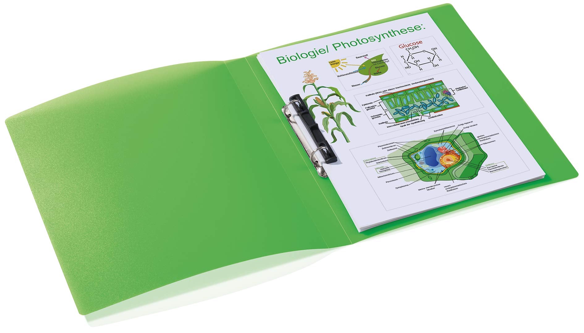 HERMA Ring Binder Translucent in Light Green, A4, 25 mm Spine, Slim 2-Ring Binder Made of Plastic