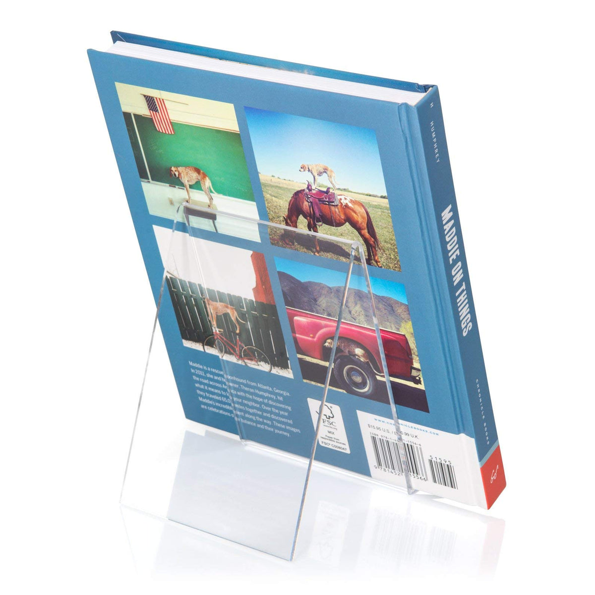 VITAdisplays Plexiglas Book Stand/Stand in DIN A6 Format, Transparent Acrylic, 3.0 mm / Open