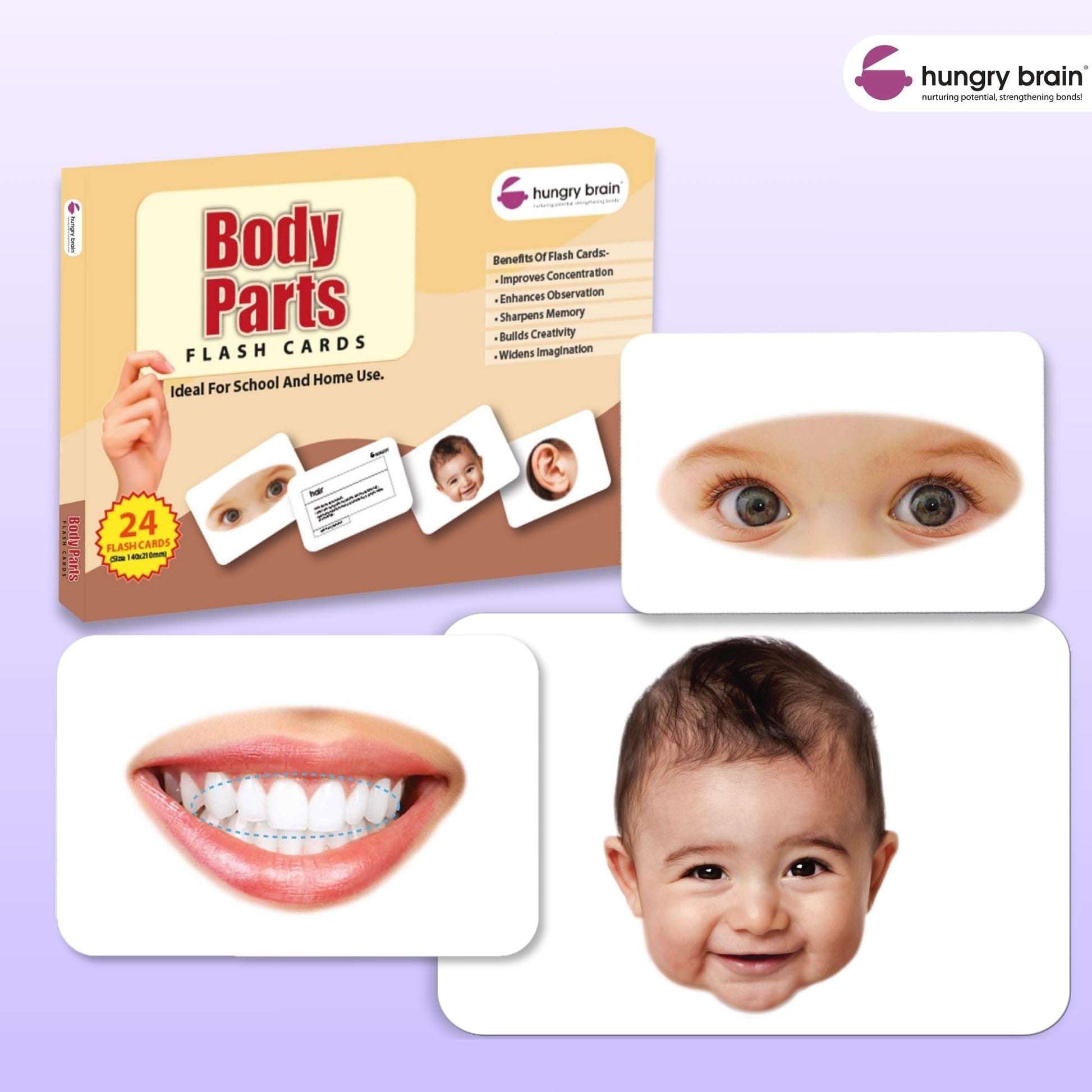Hungry Brain Body Parts Flash Cards for Toddlers Ages 3 Months to 6 Years | Montessori Human Body