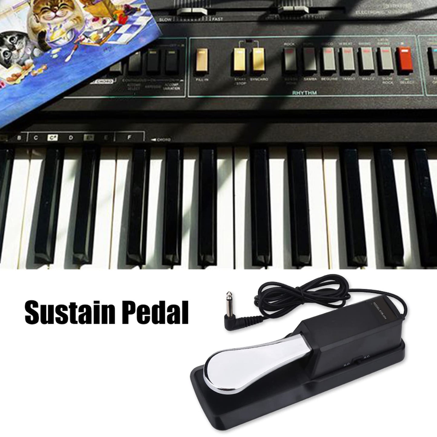 Keyboard Sustain Pedal, Universal Digital Piano Foot Pedal with Non-slip Bottom for Keyboards