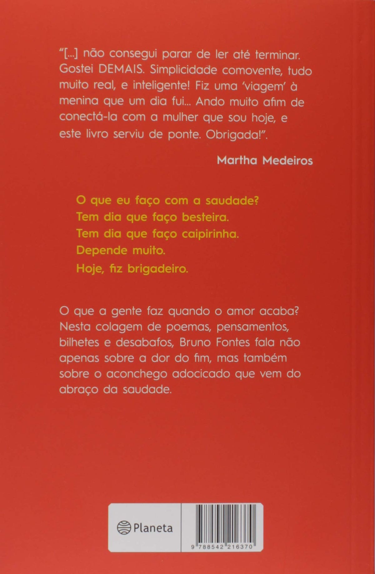 O Que Eu Faco Com a Saudade (Em Portugues do Brasil)