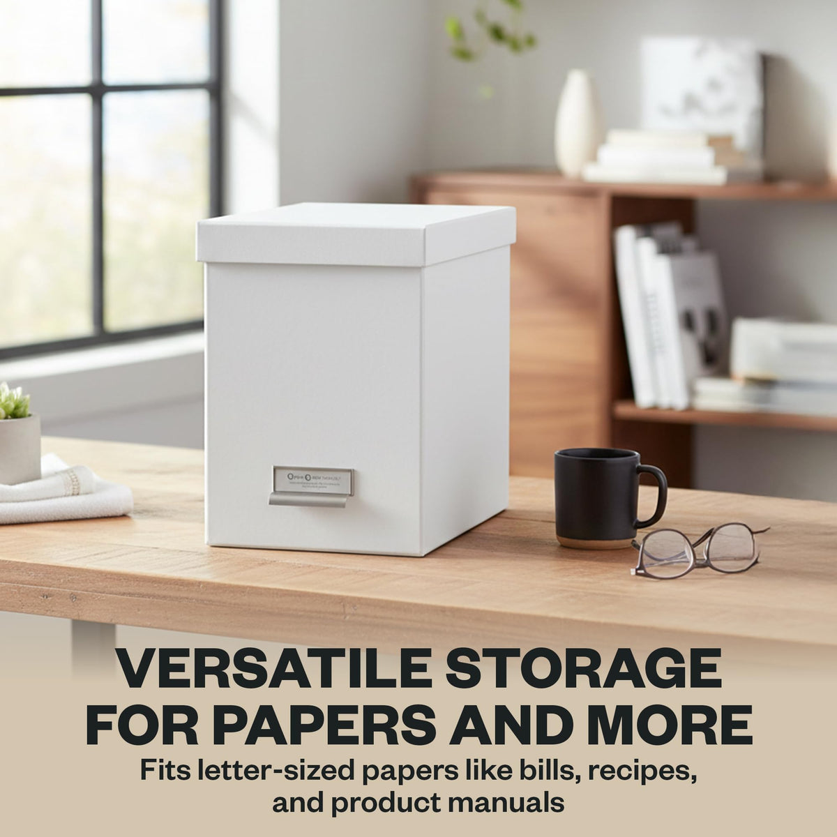 Bigso John Fiberboard Label Frame Desktop File Storage Box - Document Organizer for Important