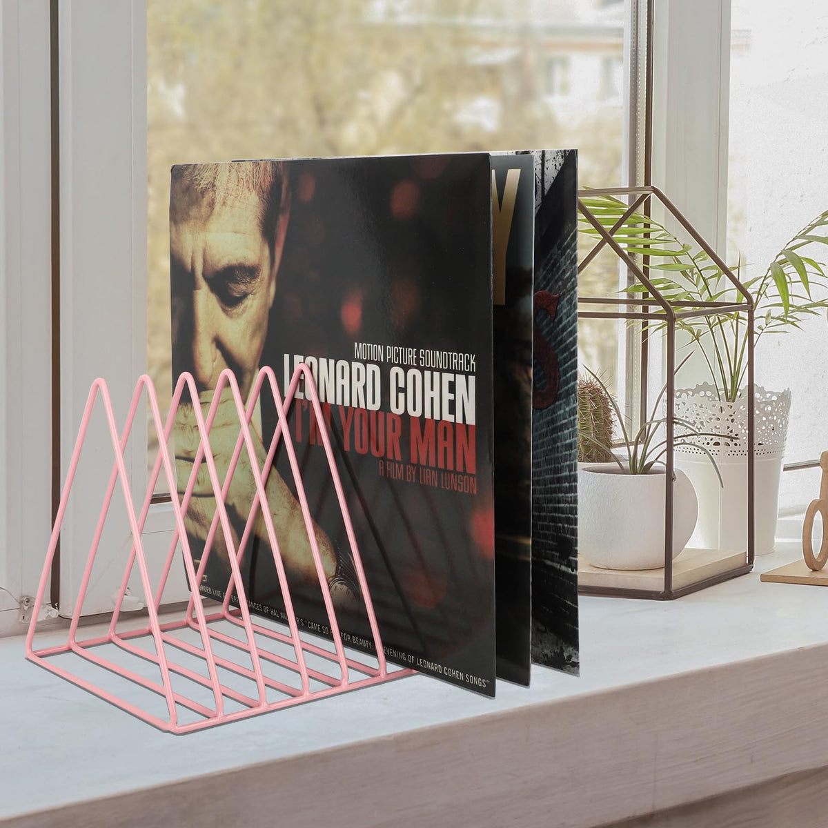 EASEPRES Vinyl Record Holder Storage, 9 Slot Metal Magazine Book Album Display Rack, Stylish