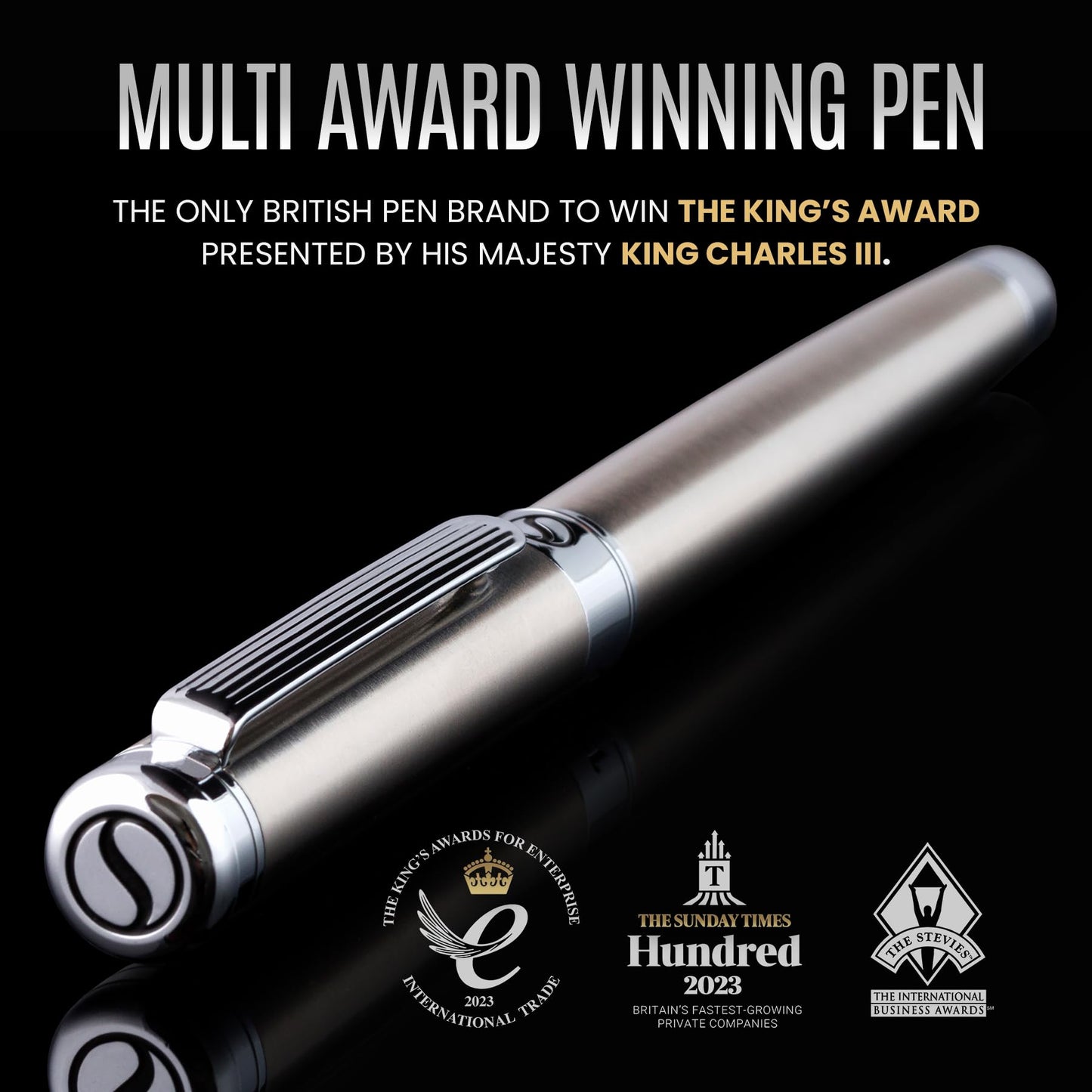 Scriveiner Stainless Steel Fountain Pen - Stunning Luxury Pen with Steel Finish, Schmidt Steel Nib