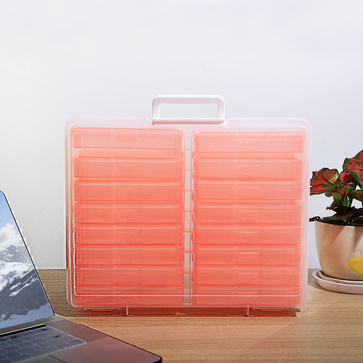 Naivees 4" x 6" Photo Storage Case with Handle, 16 Inner Photo Organizer Keeper, Extra Large