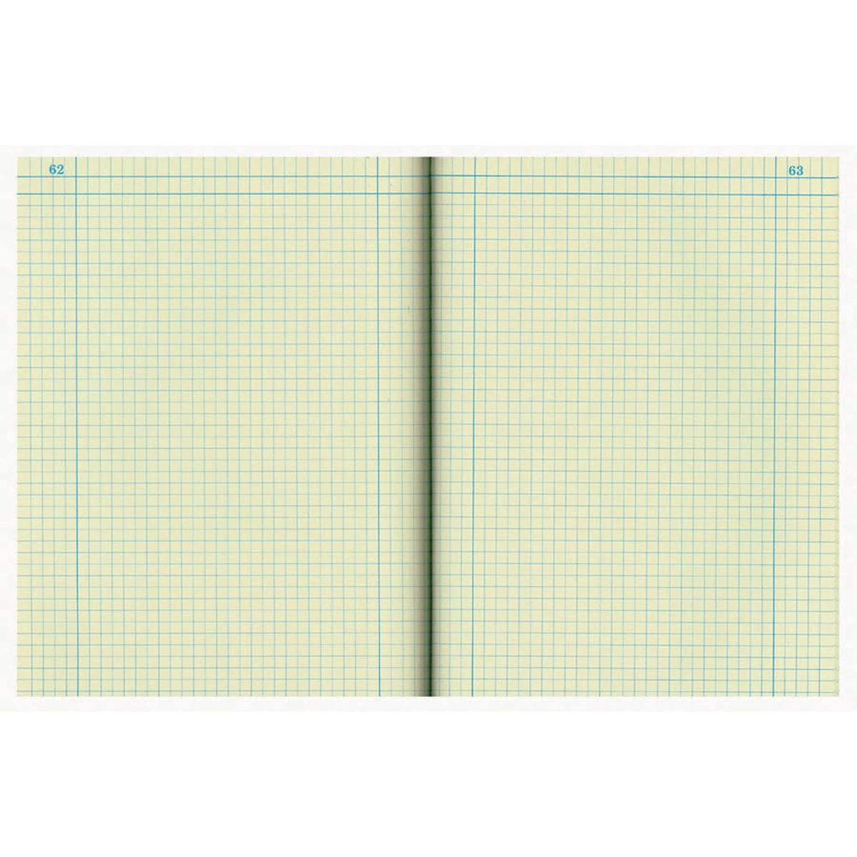 National Brand Computation Notebook, 4 X 4 Quad, Brown, Green Paper, 11.75 x 9.25 Inches, 75 Sheets