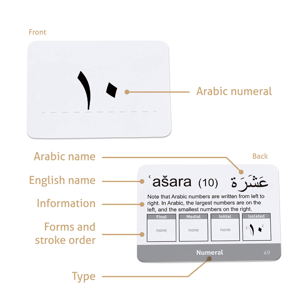 CARDDIA | Arabic Alphabet Educational Flashcards | Includes Consonants, Vowels, Diacritics and