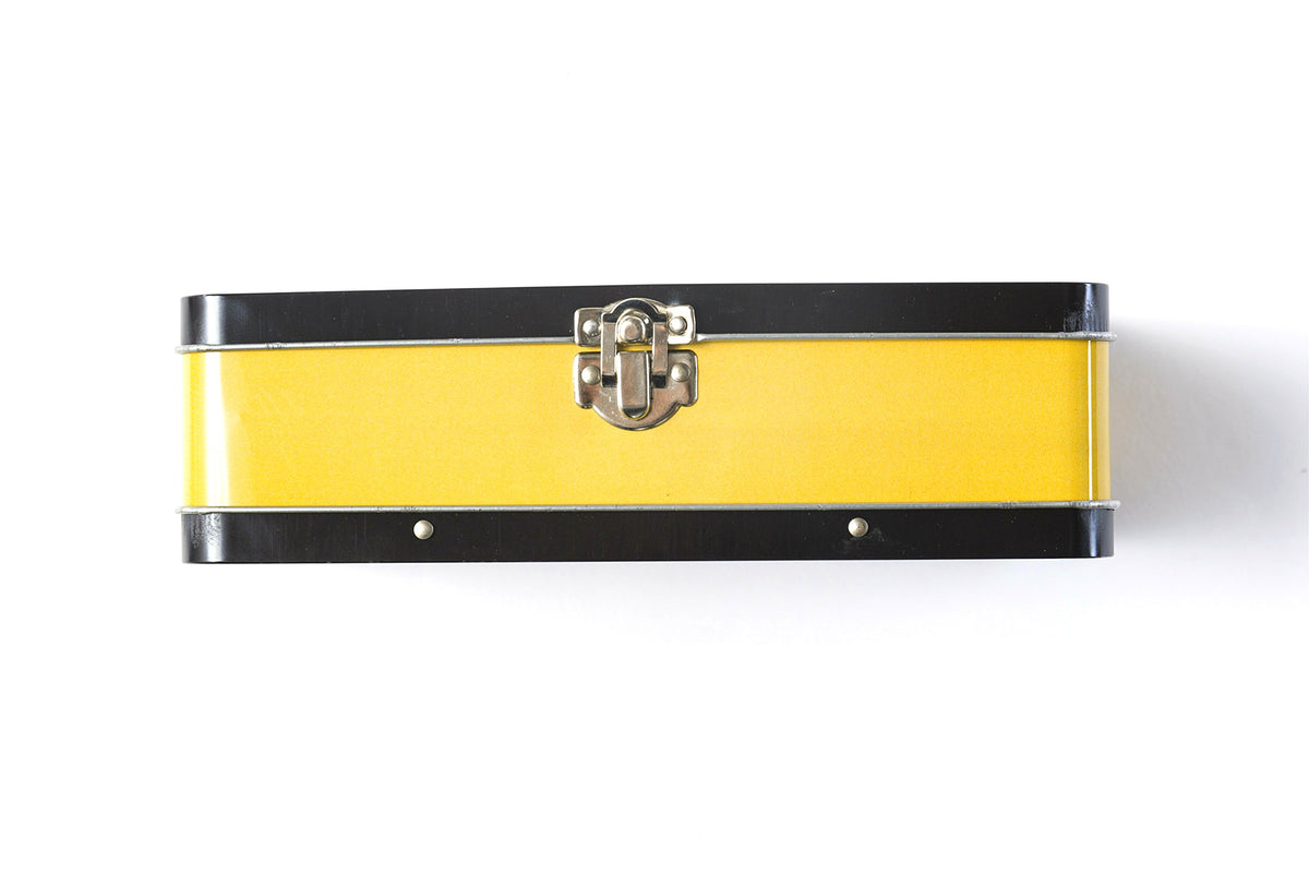 DAHO Metal Storage Box with Hinge for Office, School, Home, Makeup, Arts & Crafts and Accessories