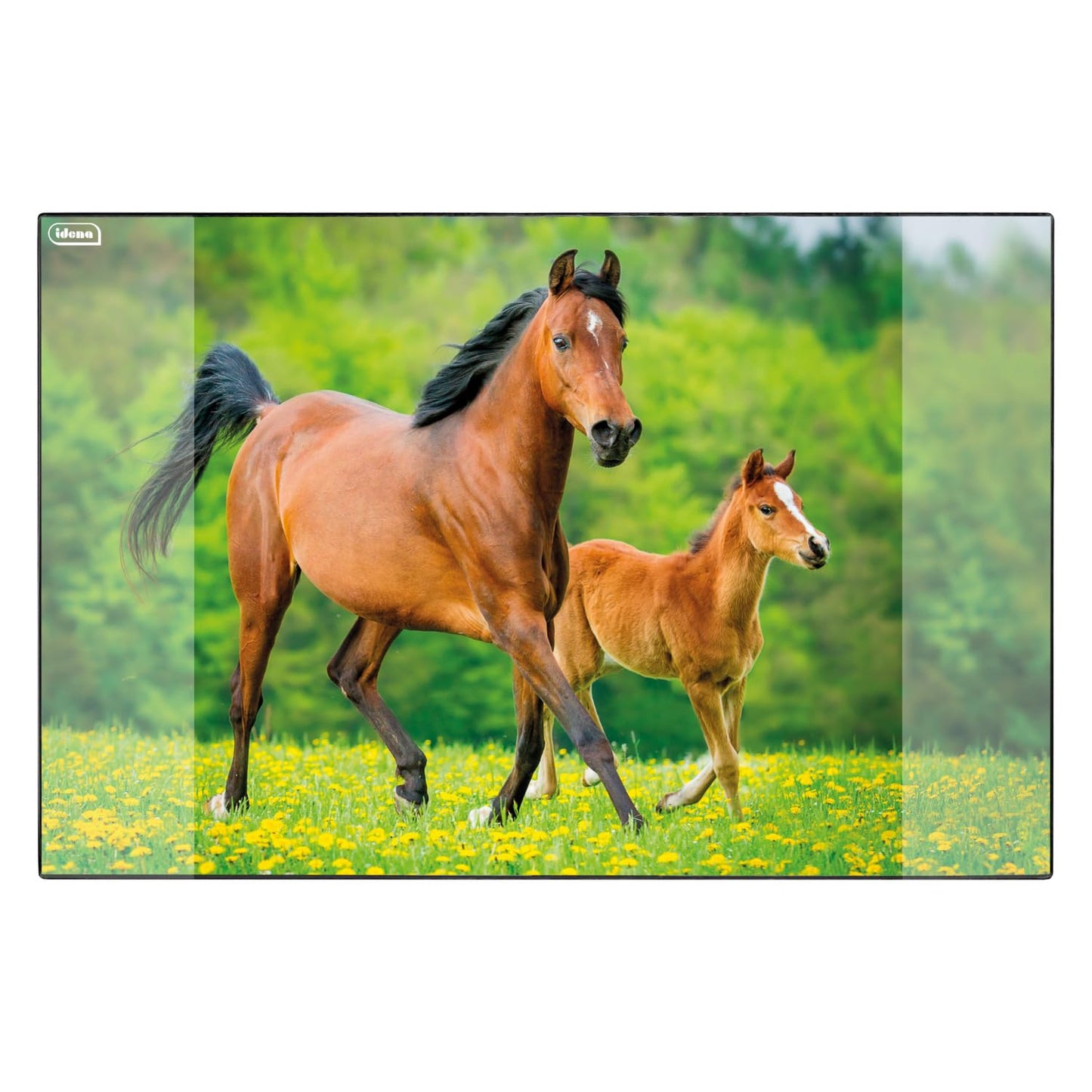 Idena 10454 Desk Mat with Two Pockets, Horse, Approx. 58.5 x 38.5 cm, Practical Accessory for