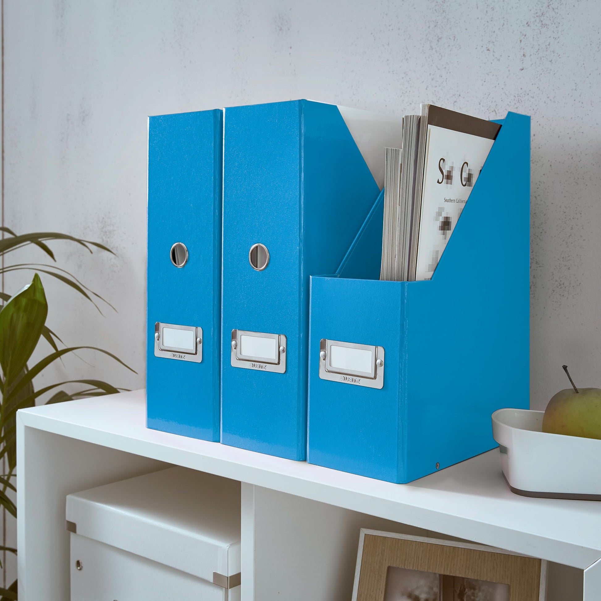 Leitz Magazine File Holder, A4, Cardboard Document Storage Box with Label, Foldable with Label, for