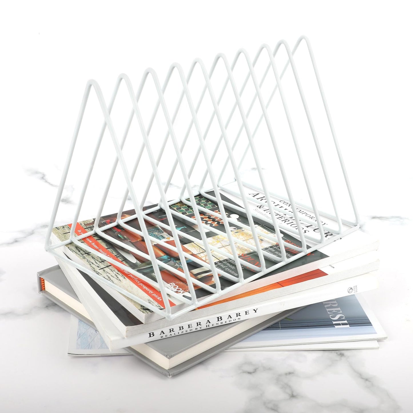 EASEPRES Vinyl Record Holder Storage, 9 Slot Metal Magazine Book Album Display Rack, Stylish