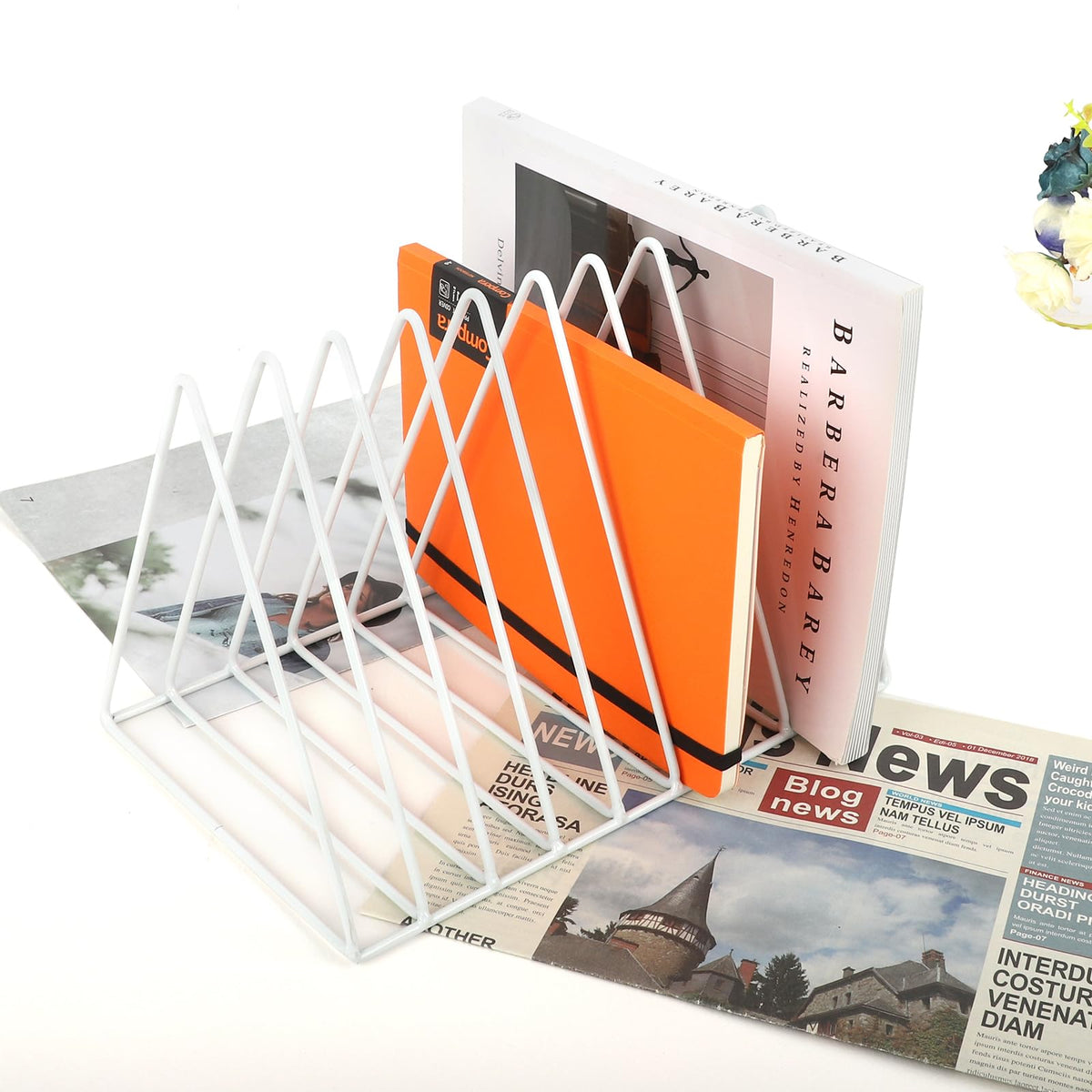 EASEPRES Vinyl Record Holder Storage, 9 Slot Metal Magazine Book Album Display Rack, Stylish