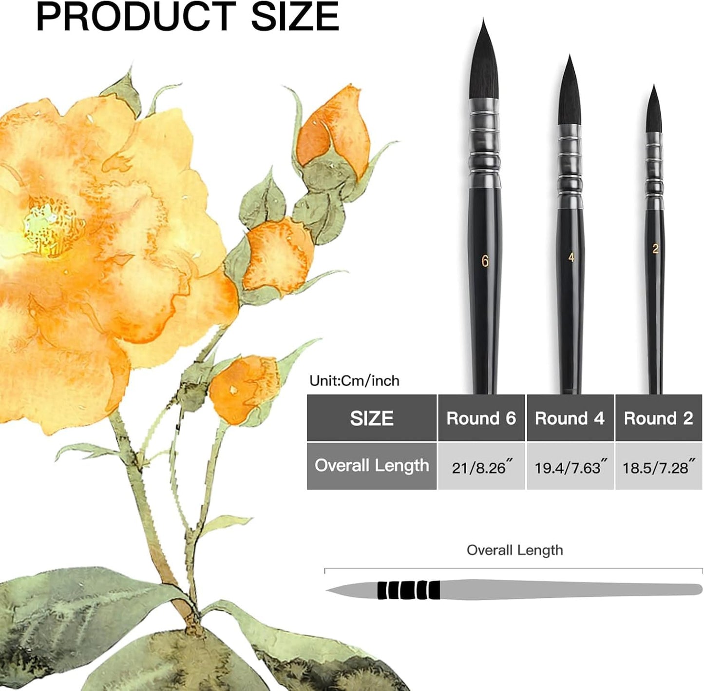 Watercolor Brush Set - Sizes 2,4,6 - Round Quill Fine Tip Mop Brushes, Soft Synthetic Squirrel