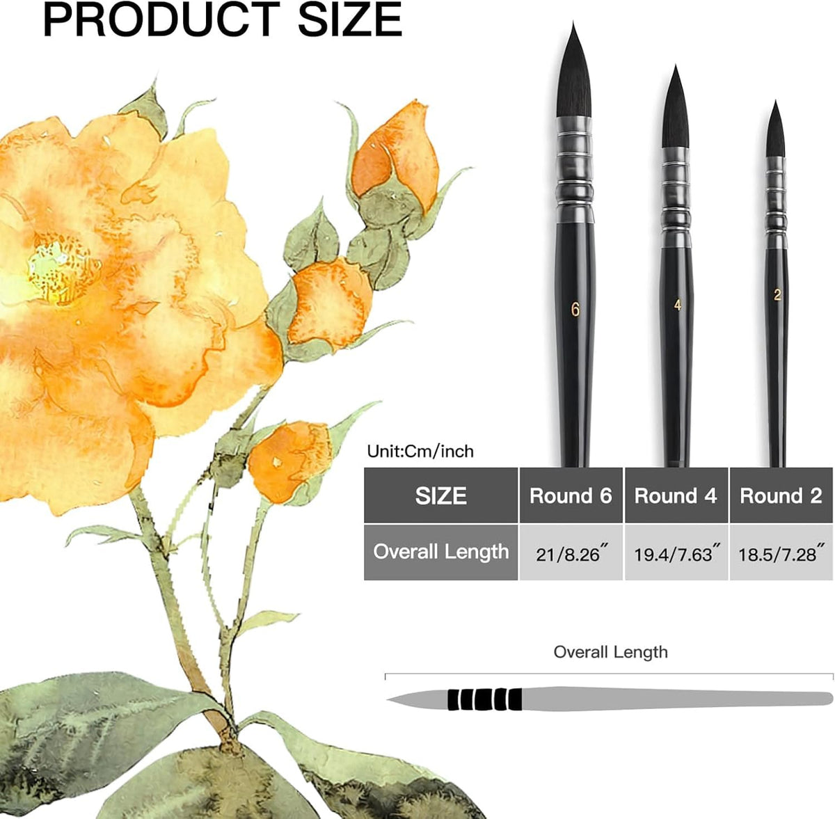 Watercolor Brush Set - Sizes 2,4,6 - Round Quill Fine Tip Mop Brushes, Soft Synthetic Squirrel
