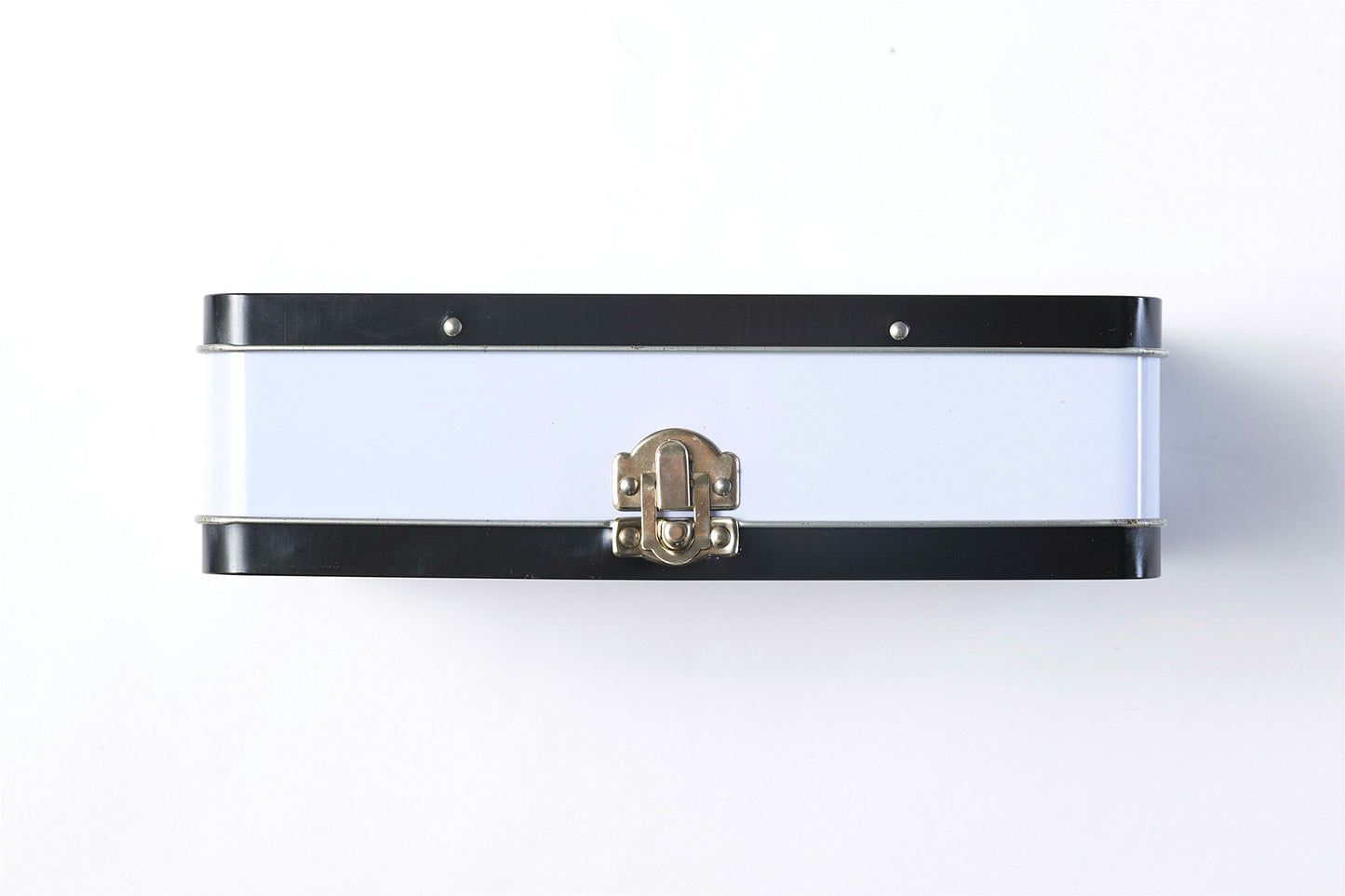 DAHO Metal Storage Box with Hinge for Office, School, Home, Makeup, Arts & Crafts and Accessories