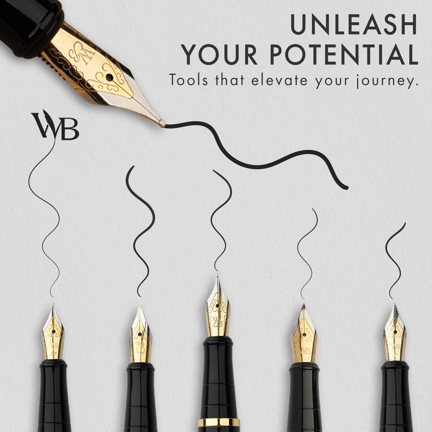 Wordsworth & Black Luxury Fountain Pen Set for Writing, 6 Nibs, Silver Gold