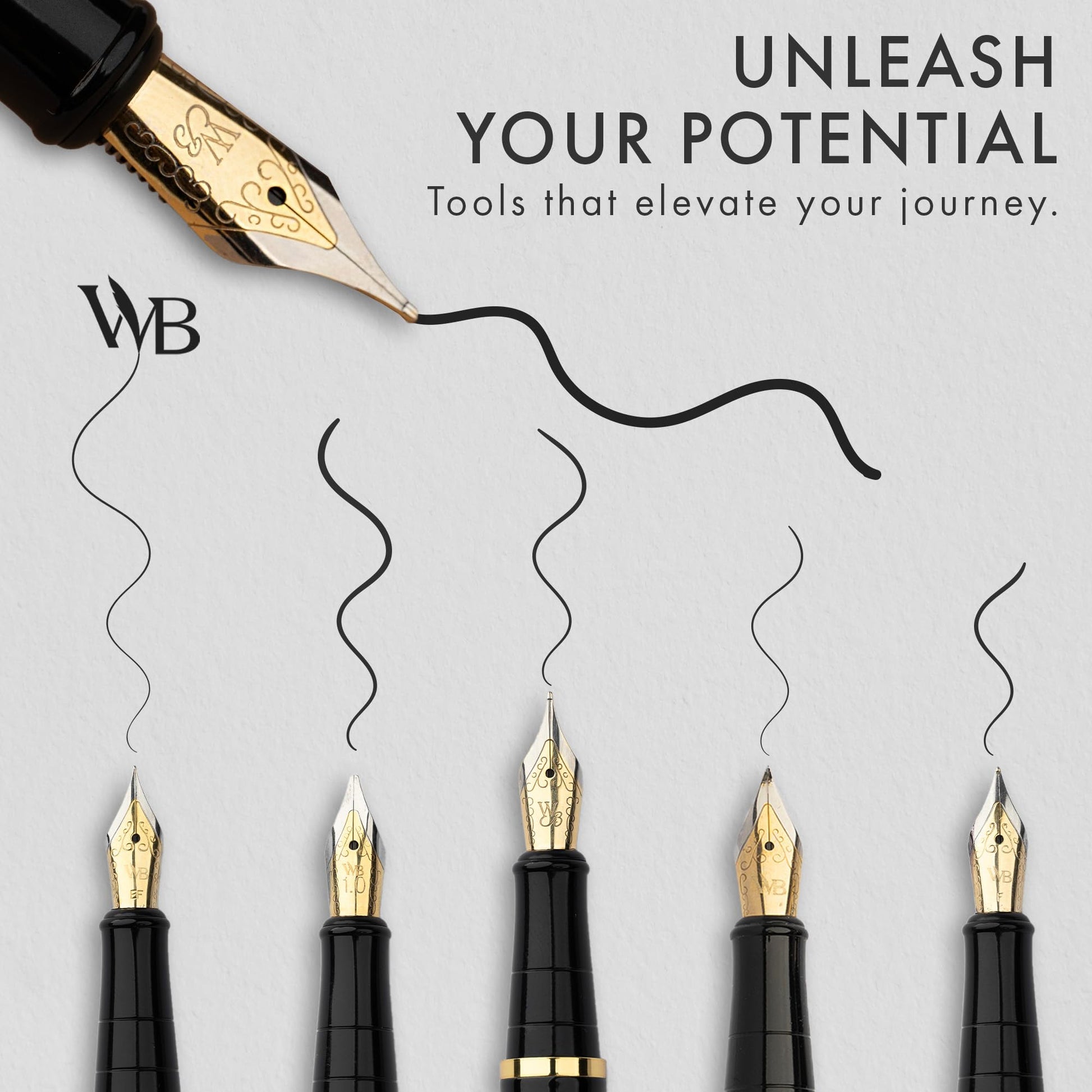 Wordsworth & Black Luxury Fountain Pen Set for Writing, 6 Nibs, Silver Gold