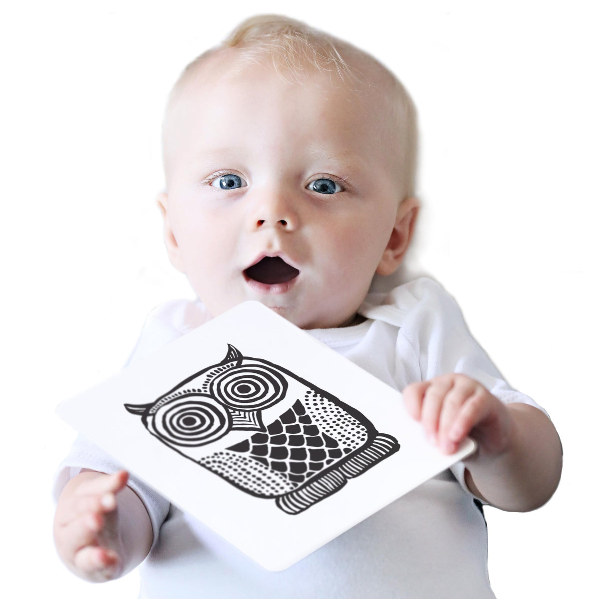 Wee Gallery High Contrast Cards for Baby - Original Animals