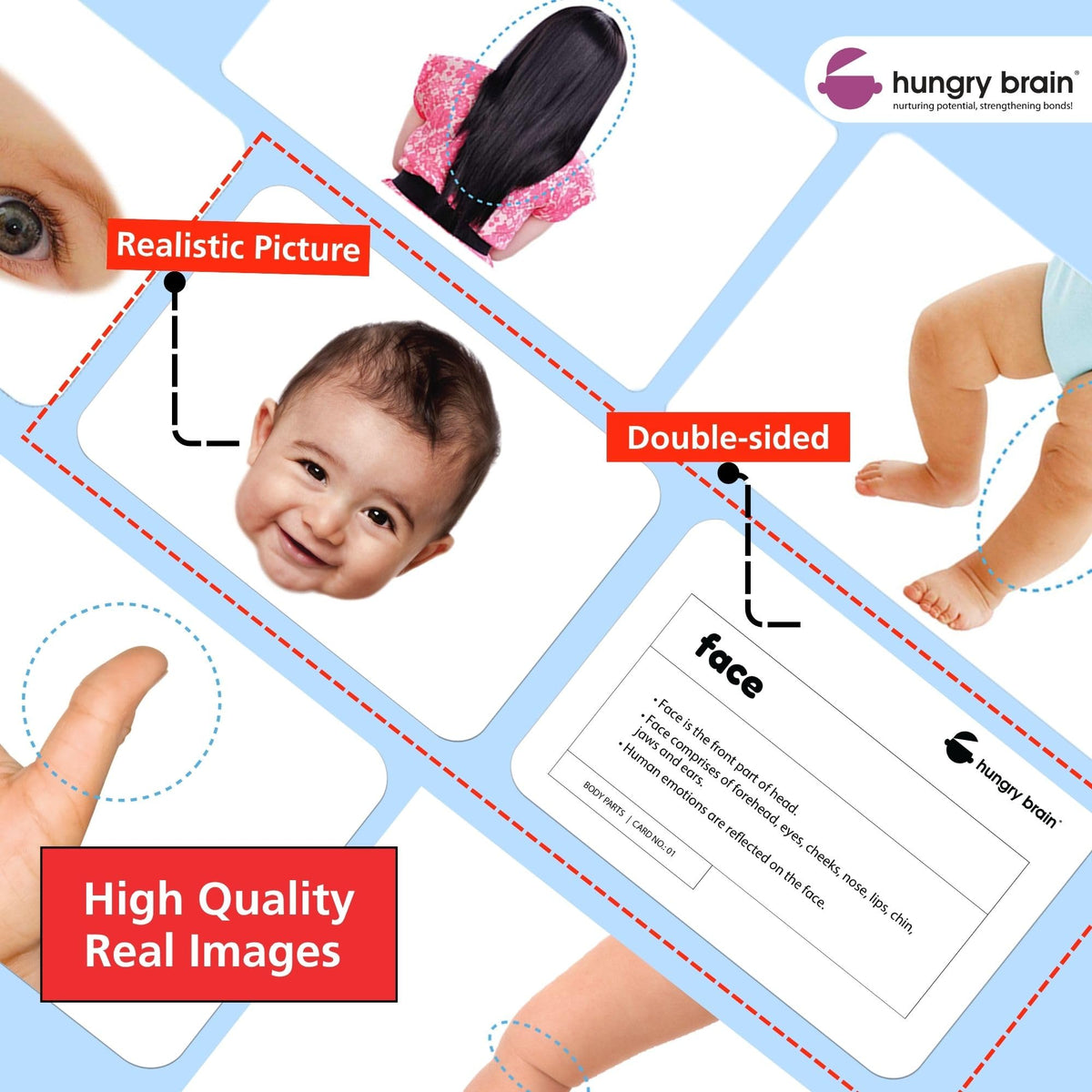 Hungry Brain Body Parts Flash Cards for Toddlers Ages 3 Months to 6 Years | Montessori Human Body