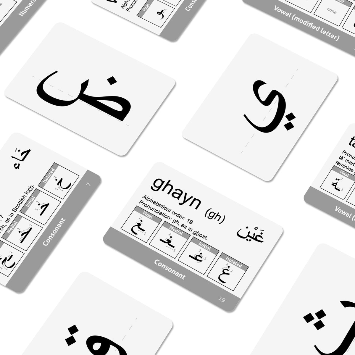 CARDDIA | Arabic Alphabet Educational Flashcards | Includes Consonants, Vowels, Diacritics and