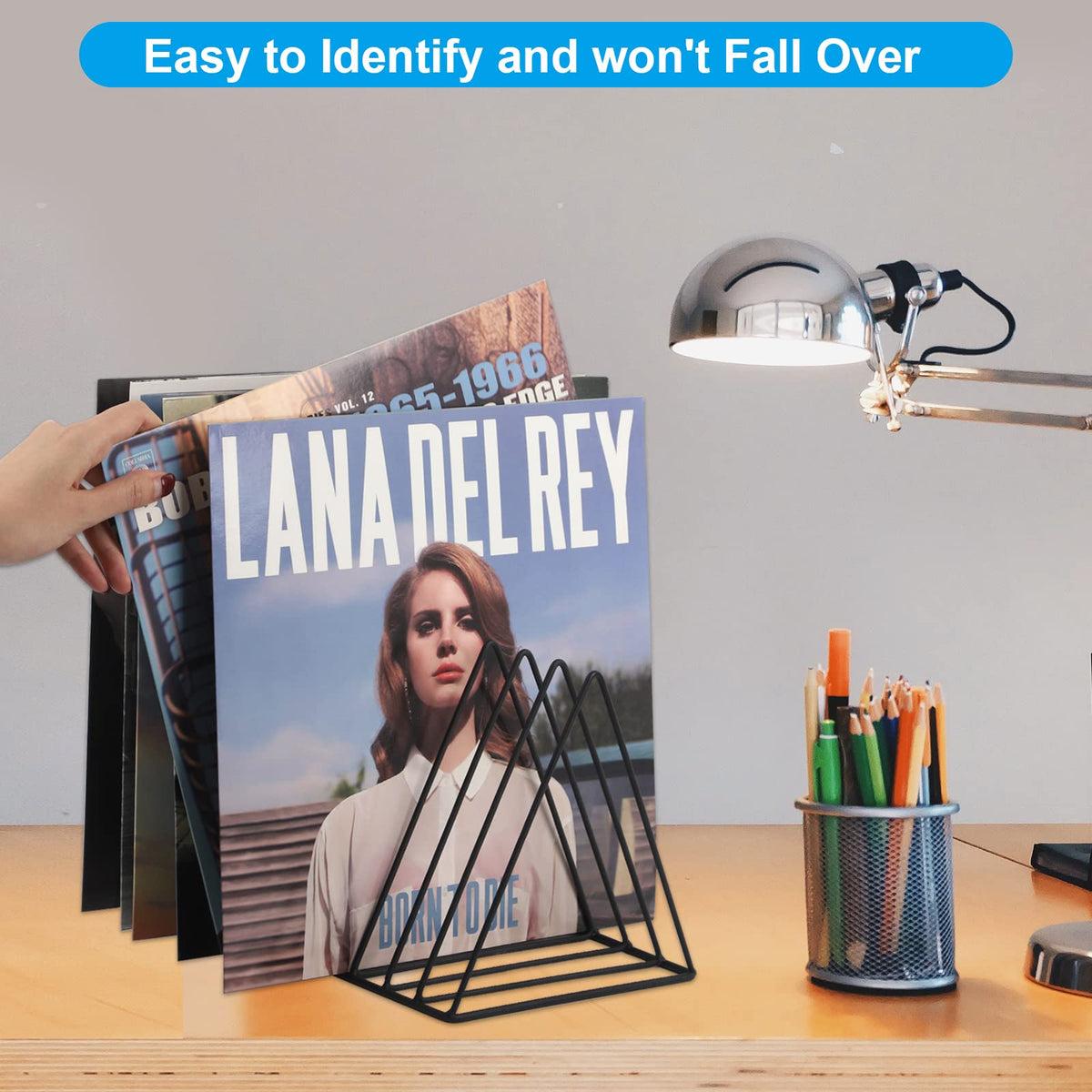 EASEPRES Vinyl Record Holder Storage, 9 Slot Metal Magazine Book Album Display Rack, Stylish