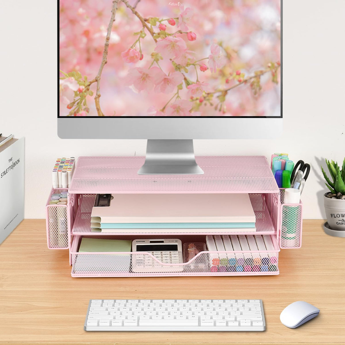 AUPSEN Computer Monitor Stands Riser，2-Tier Desk Organizers and Accessories, Office Desk