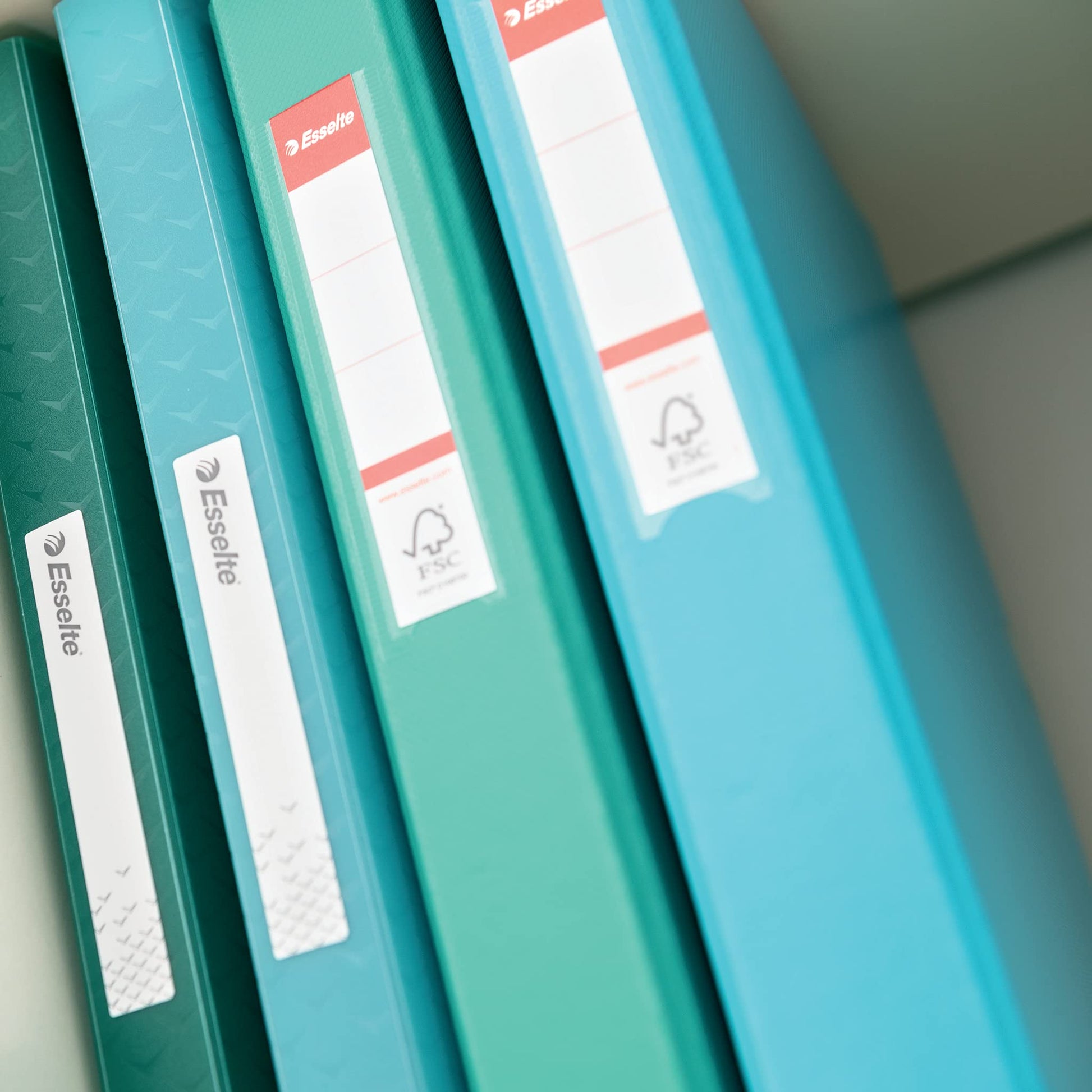 Esselte Ring Binder, 190 Sheet Capacity, 42mm Spine, 2 Ring A4 Folder, Hard Cover File, Home/Office