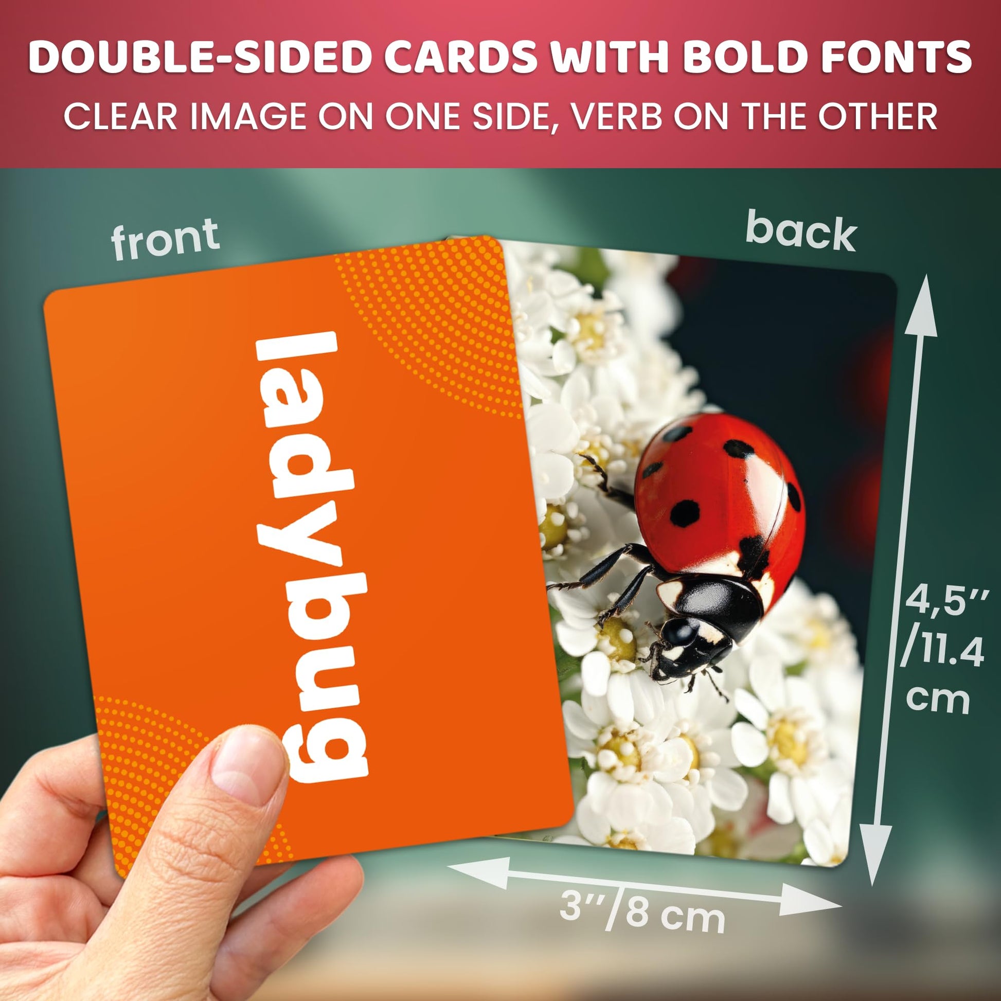 Vocabulary Builder Flash Cards for Kids Ages 4-8 — Speech Therapy Materials