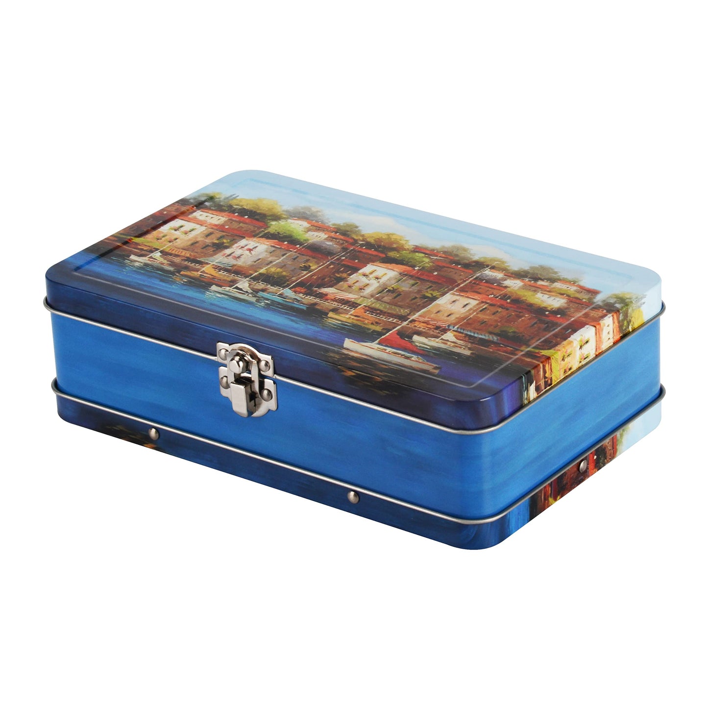 DAHO Metal Storage Box with Hinge for Office, School, Home, Makeup, Arts & Crafts and Accessories