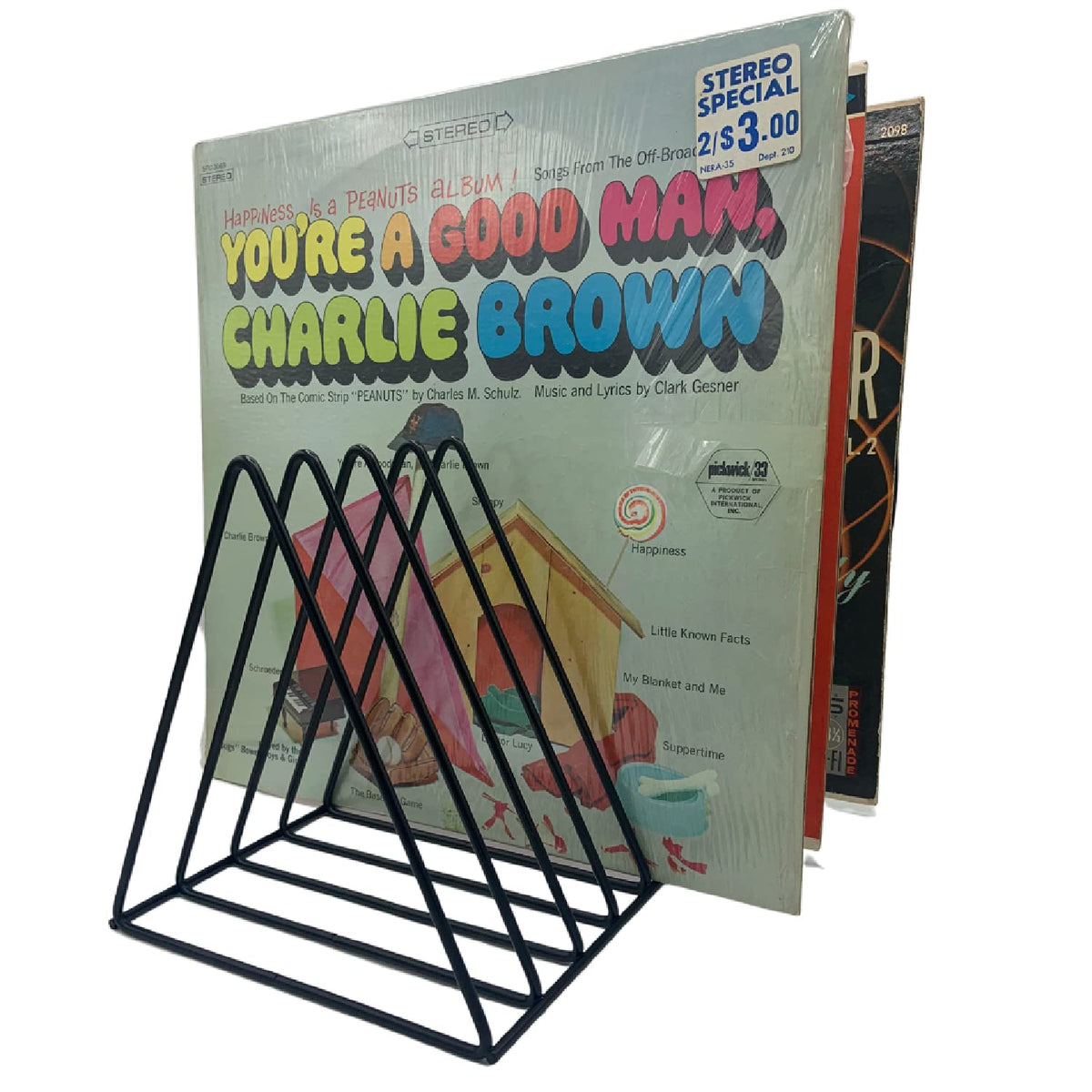 Vinyl Record Storage Holder Stand - Premium Triangle Metal Wire Magazine Rack and Book Holder holds