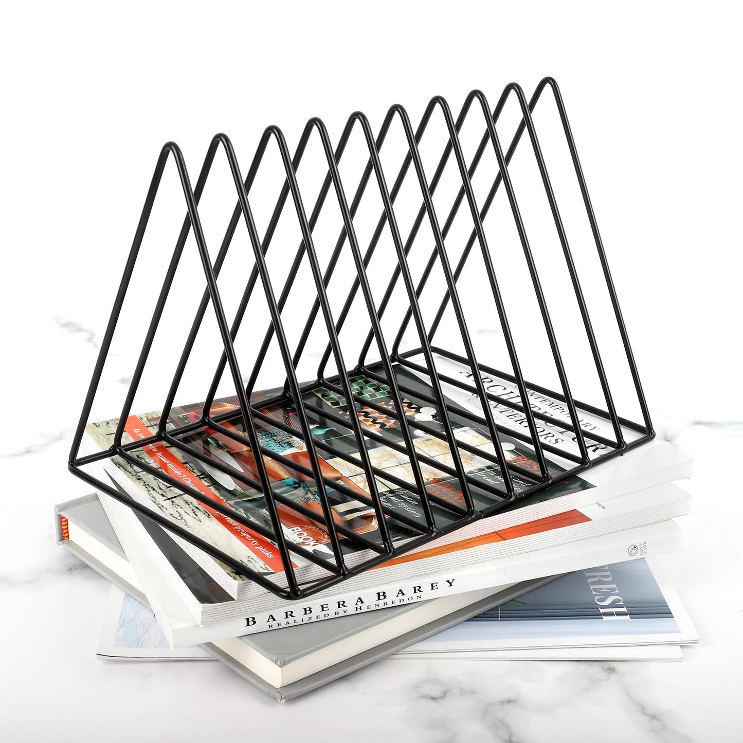 EASEPRES Vinyl Record Holder Storage, 9 Slot Metal Magazine Book Album Display Rack, Stylish