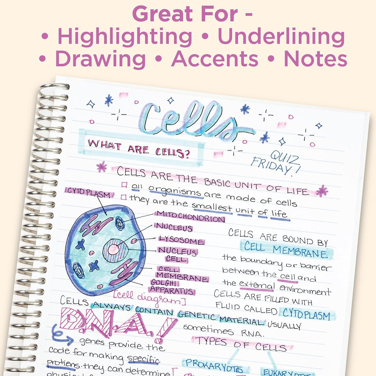 Zebra Pen MILDLINER Highlighter, Neutral Vintage Colors, Dual Tip, 15-Pack