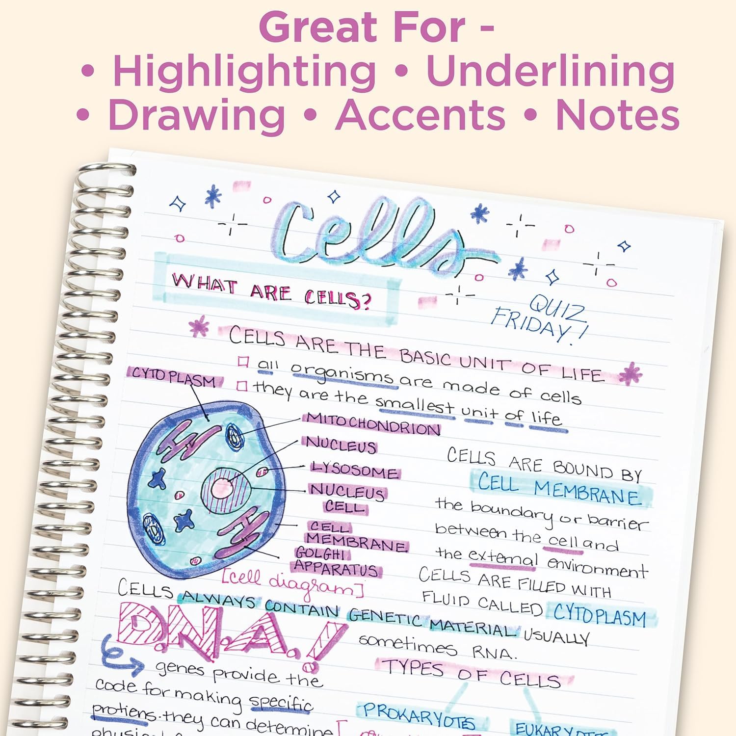 Zebra Pen MILDLINER Highlighter, Neutral Vintage Colors, Dual Tip, 15-Pack