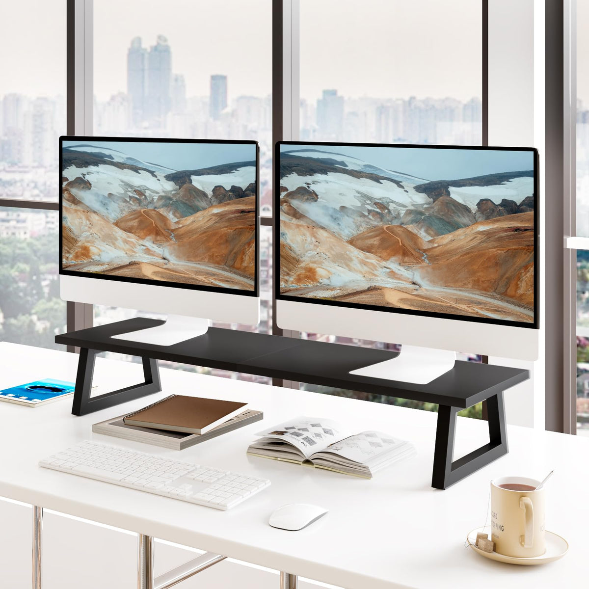 TEAMIX 31.5 inch Dual Monitor Stand Riser, TV Riser, Black Desk Organizer