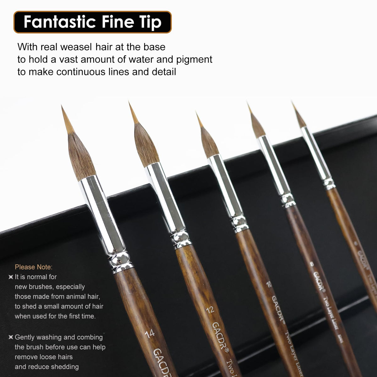 GACDR Watercolor Liner Brush Set, 5Pcs Extended Needle Point Brushes Set