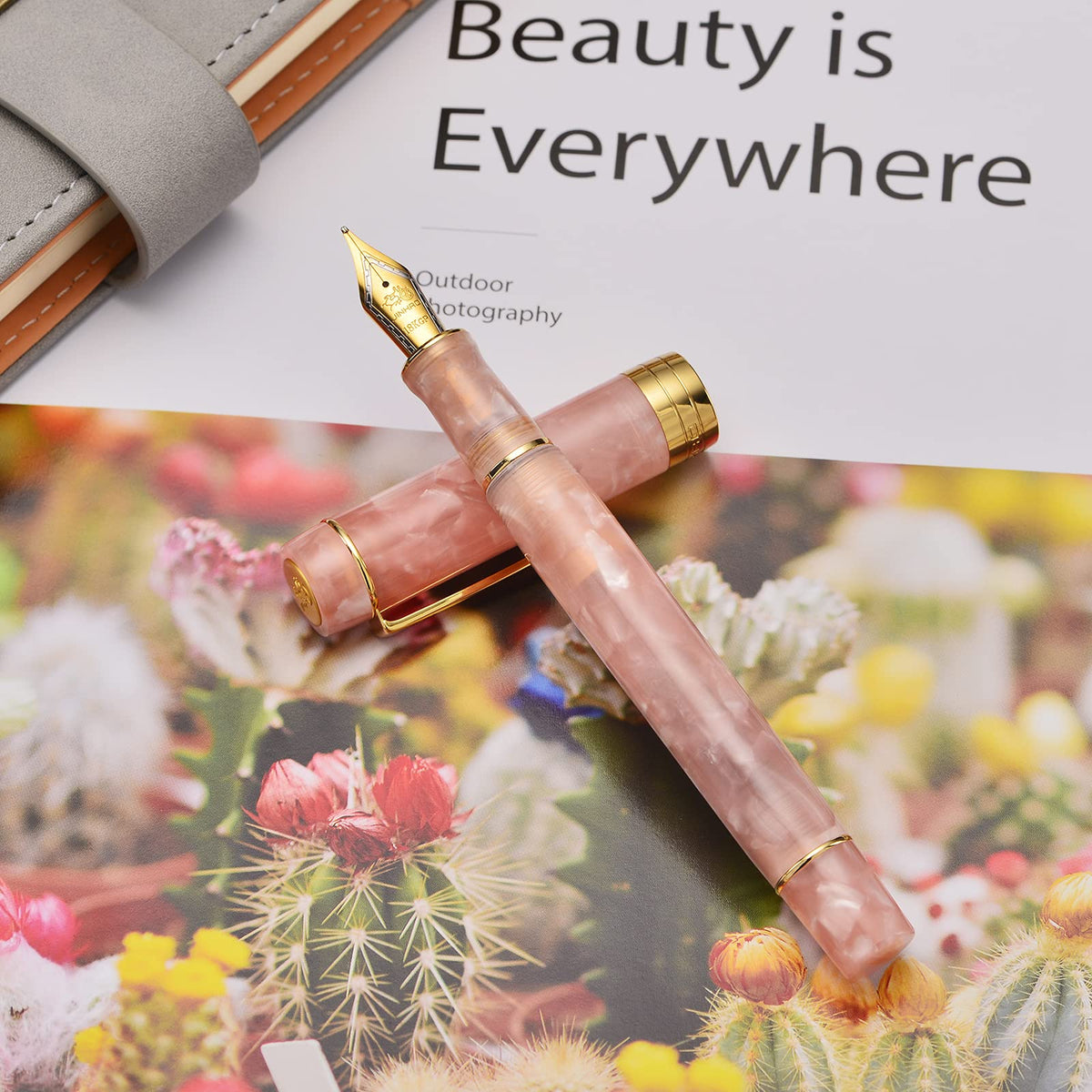 Jinhao 100 Classic Fountain Pen Pink, Medium Nib with Converter and Pen Case Set