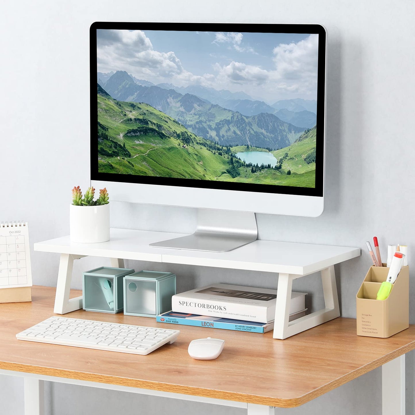 TEAMIX 24 inch Monitor Riser for Desk, Wood & Steel Computer/TV Stand White