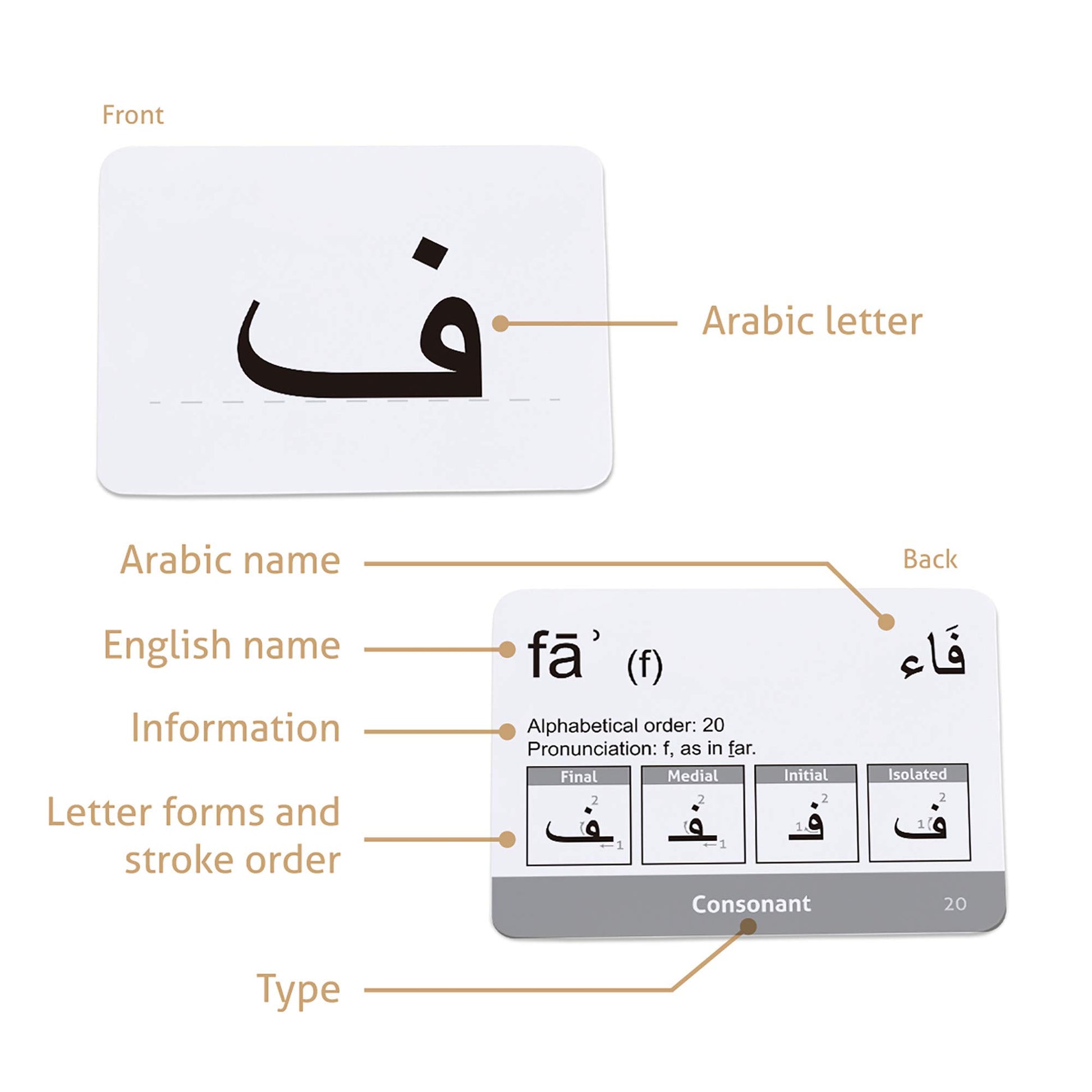 CARDDIA | Arabic Alphabet Educational Flashcards | Includes Consonants, Vowels, Diacritics and