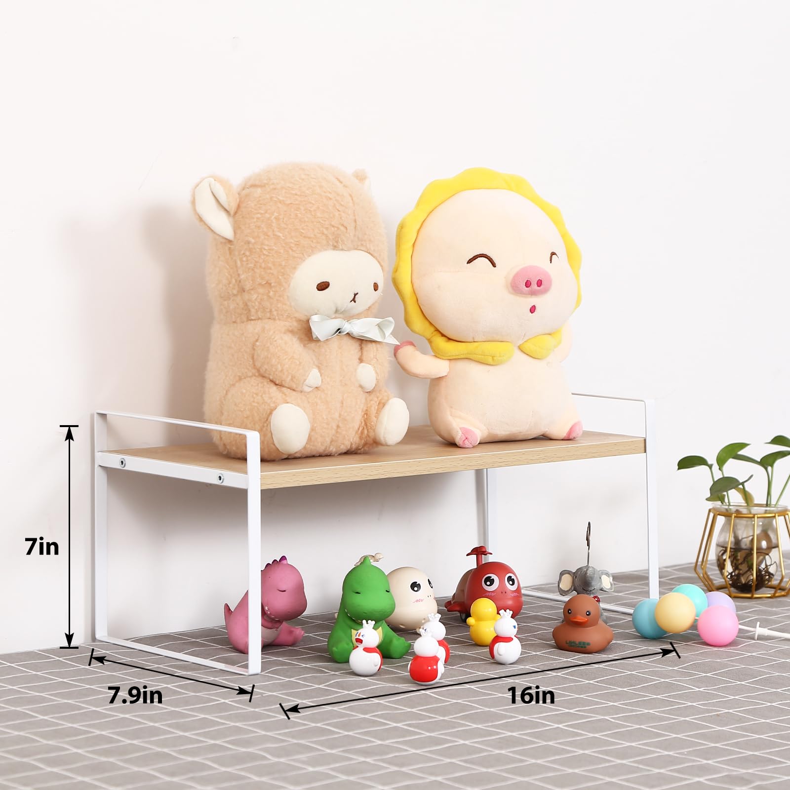 YGYQZ Desk Shelf Organizer for Top of Desk, 1-Tier Desktop Bookshelf, White & Wood