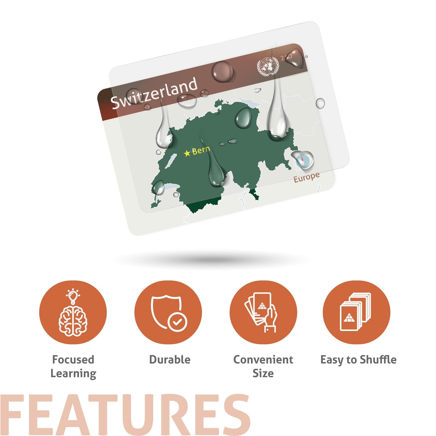 CARDDIA | Collection of Country Flags Educational Flashcards | 242 Flags with Country Names